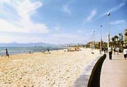 11460_590x350x75.jpg